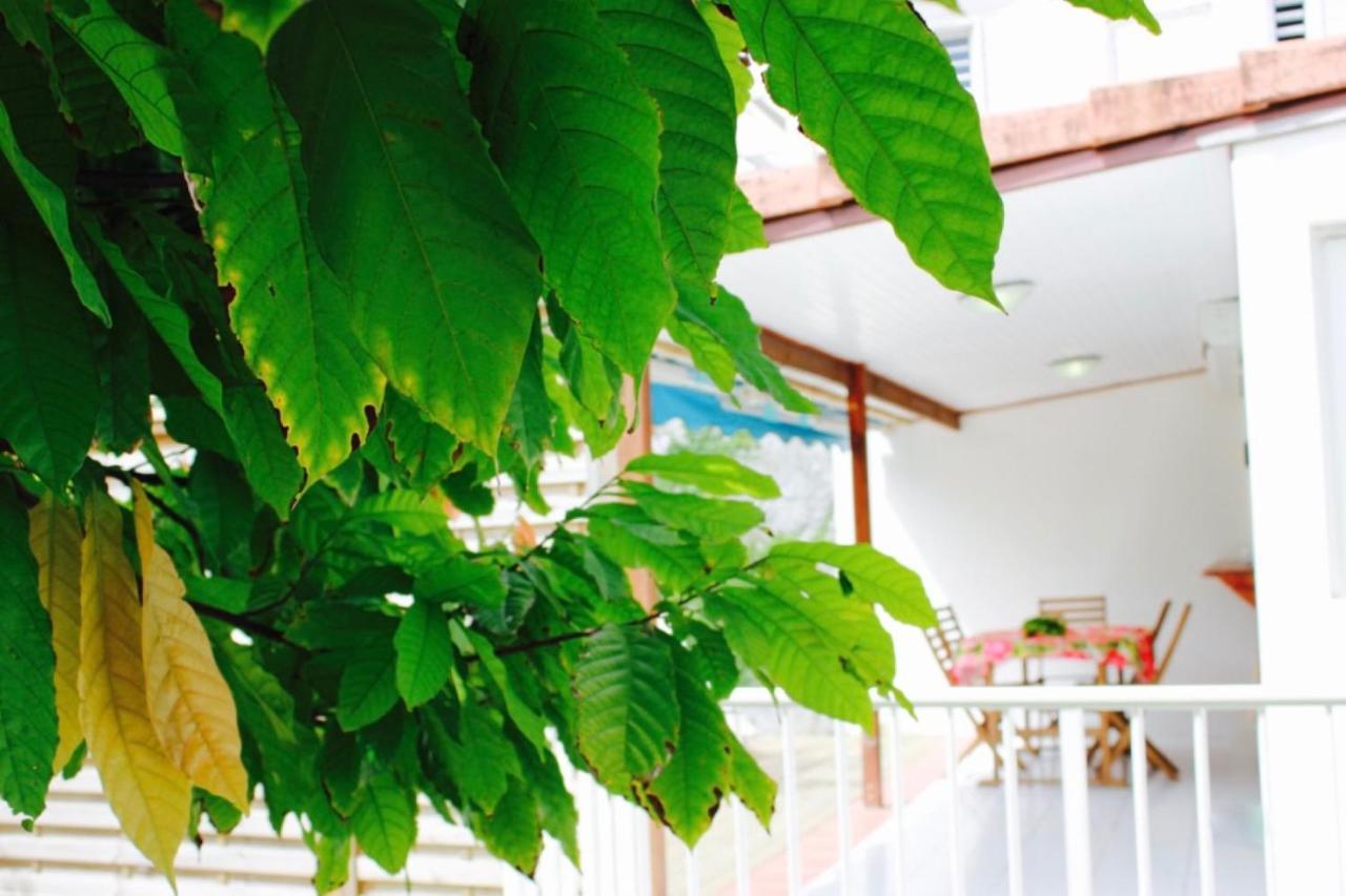 Villa Bougainvillier เลส์ทรัวส์-ซีเลต์ ภายนอก รูปภาพ